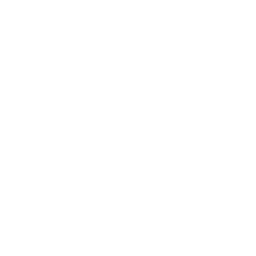 Networking B2B Connect