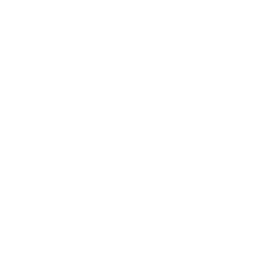 Arena Gaming 6 Level Up