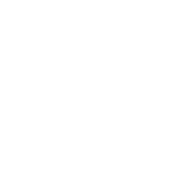Núcleo Neural AI + IoT
