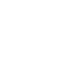 Actividades X-Perience